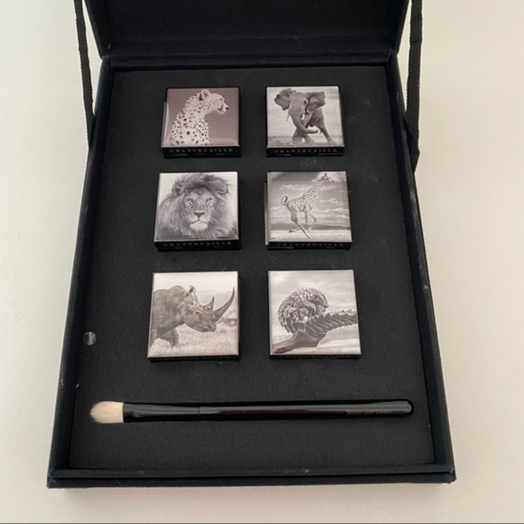 Chanteceille Metallic Eye Shadow Limited Edition 6 eye shadows brush set - Picture 2 of 16